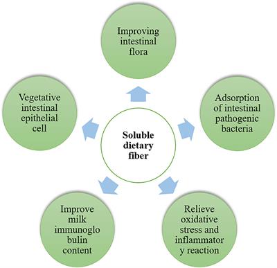 Maternal Nutrition During Late Gestation and Lactation: Association With Immunity and the Inflammatory Response in the Offspring